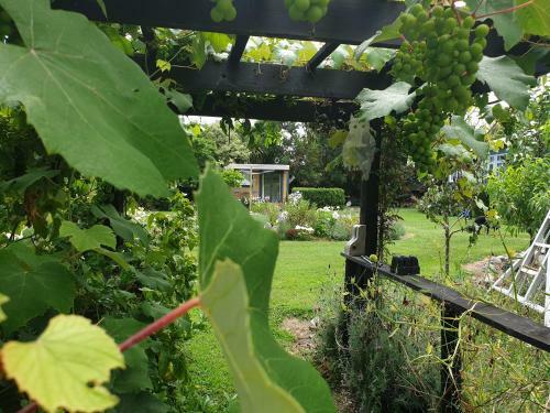 Hostal Cabins On Tudor Bed & Breakfast