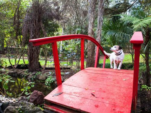 Waimoana Garden Bed And Breakfast