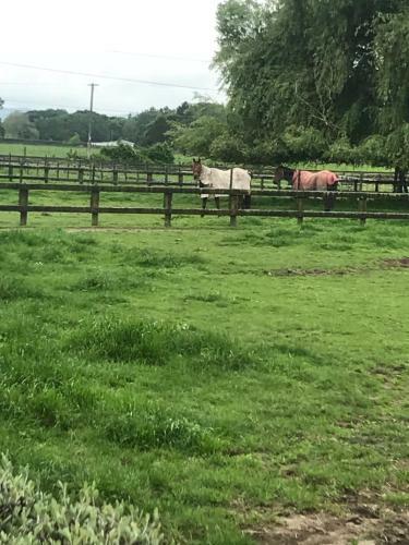 Bed & Breakfast Horseinaround