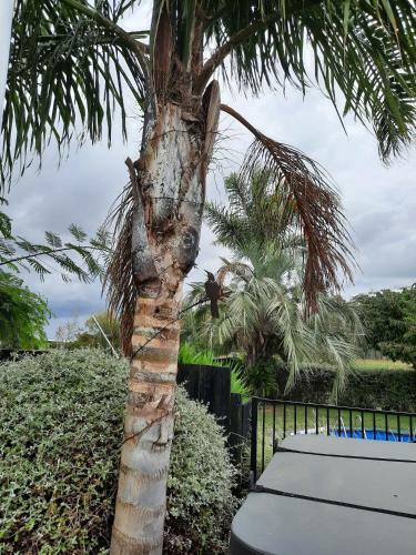 Bed & Breakfast Tui Glade
