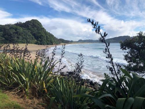 Hot Water Beach Lookout B&B