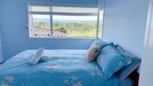 Bed & Breakfast Panoramic View Apartment