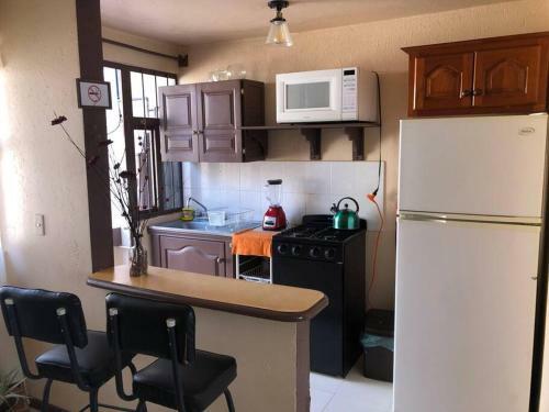 Casa Monarca ?mi Hogar En Zit�cuaro?