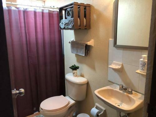 Casa Monarca ?mi Hogar En Zit�cuaro?