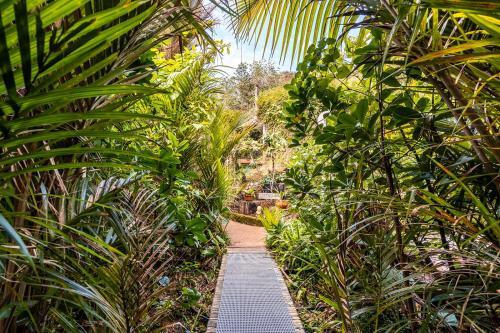 Boho Hill Waiheke Island