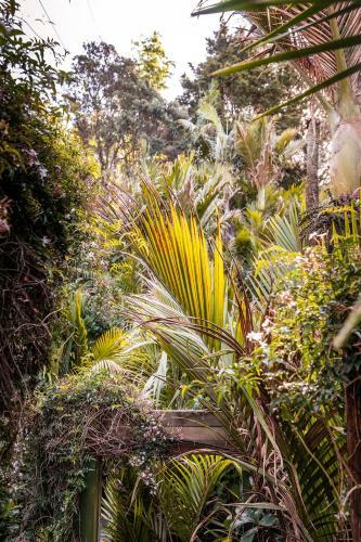 Boho Hill Waiheke Island