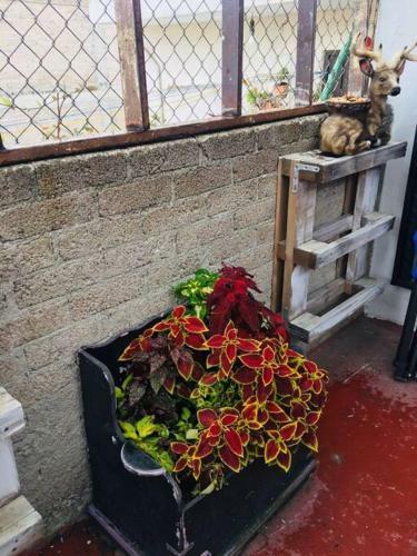 Apartamento Habitaci�n 6