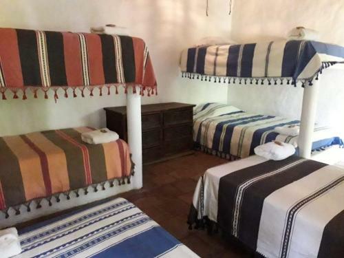 Quinto Sol Hotel Boutique Y Expediciones