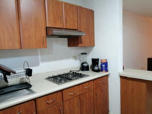 Casa En Nuevo Vallarta Con Alberca