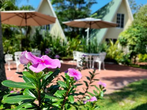 Hotel Villas El Encanto