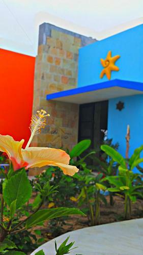 Hotel Villa Star Of The Sea
