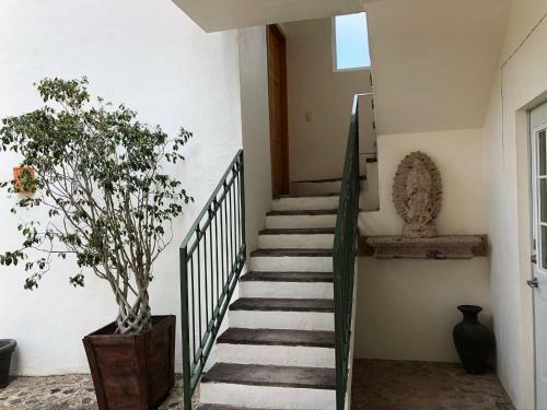 Hotel Chiflon Villas