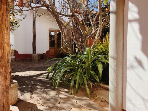 Hotel Posada La Manzanilla