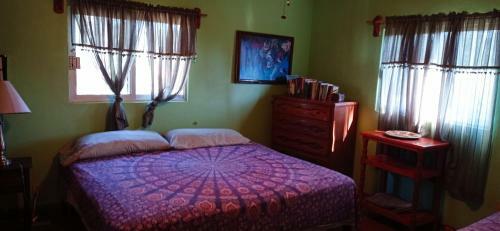 Apartamento Iguana Loca Hostel