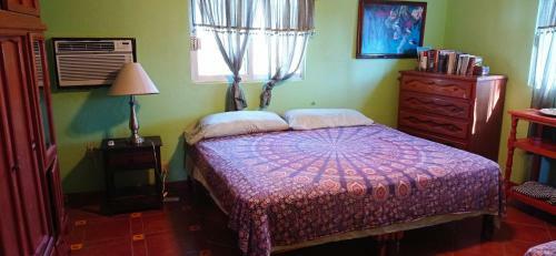 Apartamento Iguana Loca Hostel