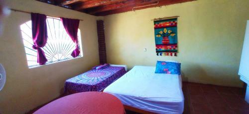 Apartamento Iguana Loca Hostel