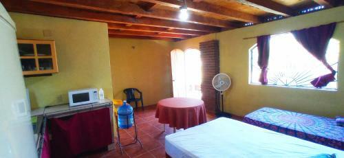 Apartamento Iguana Loca Hostel