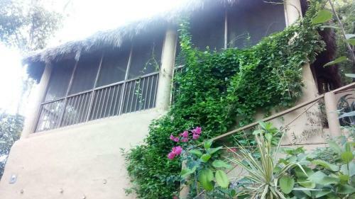 Hostal Casa Maria En La Manzanilla