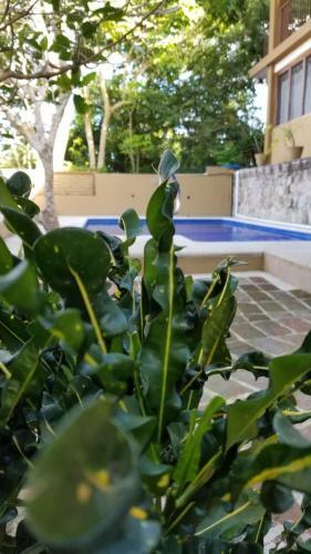 Hostal Casa Maria En La Manzanilla