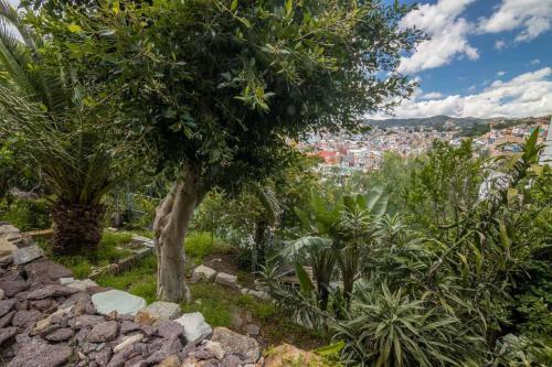 Nido De Colibr� En C�ntrica Villa Con Jard�n!