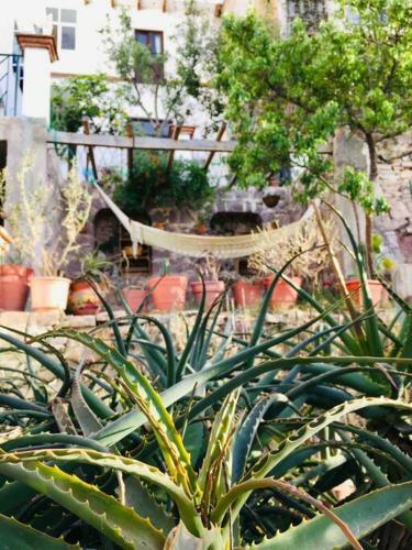 Suite Con Vista En C�ntrica Villa Con Jard�n