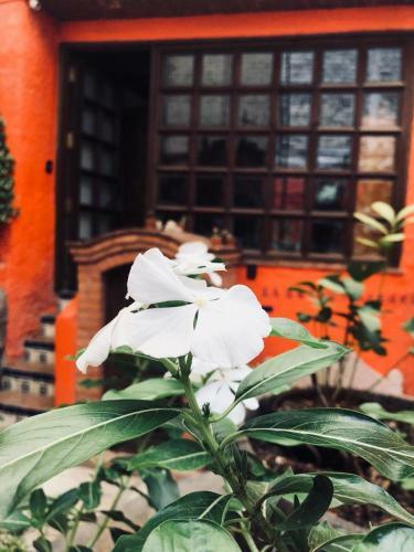 Posada Casa Azul