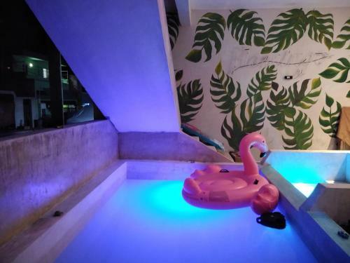 Apartamento Casa Flamingo