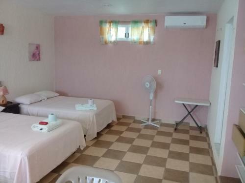 Agroturismo Caribean Jireh 3
