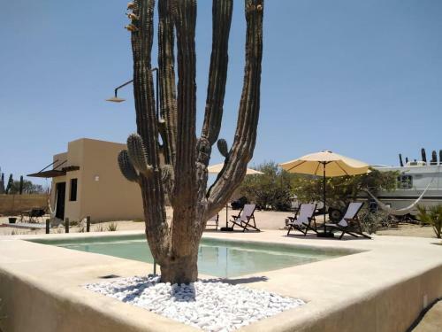 Apartamento Desert Wind