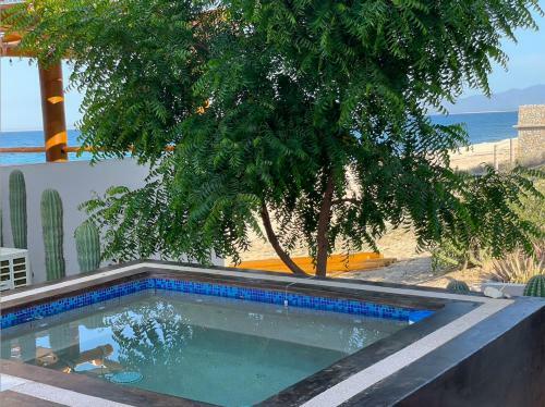 Apartamento Beach Front Lofts, La Ventana