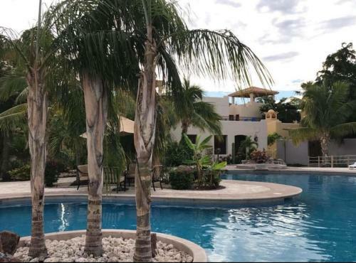 White Palm Villa