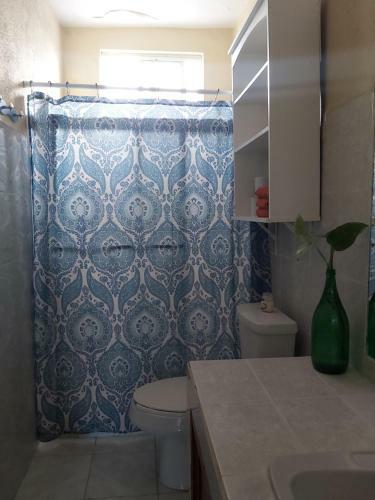 Apartamento Casa Entera C�ntrica