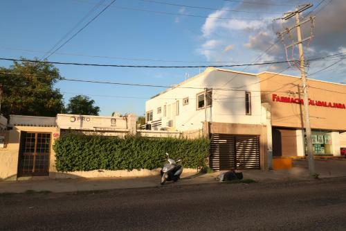 Apartamento Departamento Borbon