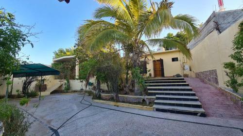 Padrino's Hostal La Paz