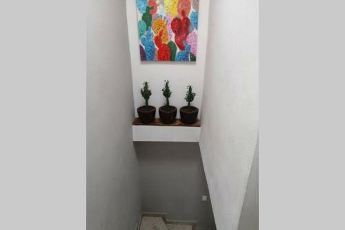 Casa Parral
