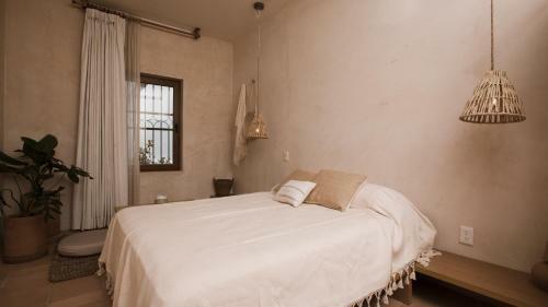 Hotel Casa Montore By Barrio Mexico