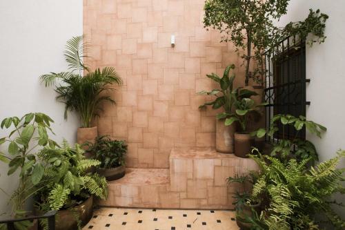 Hotel Casa Montore By Barrio Mexico