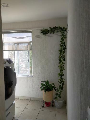 Apartamento Luxury Departament Centenario