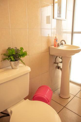 Casa Colores Hostal