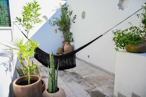 Hotel Casa Kali By Barrio M�xico