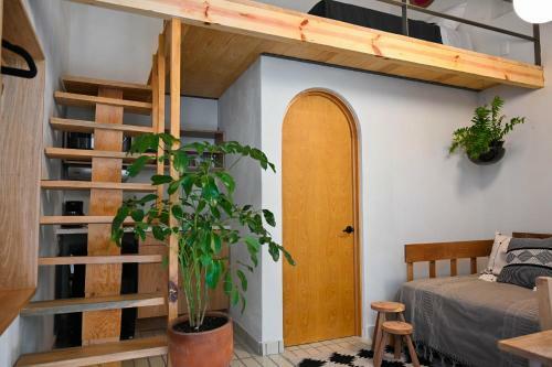 Hotel Casa Kali By Barrio M�xico