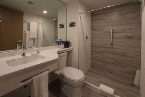Hotel Microtel Inn & Suites By Wyndham Guadalajara Sur