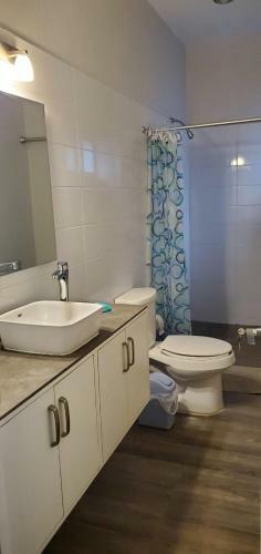 Apartamento Superb Location!!!, Heart Of Providencia ! 1br, 1bth Studio