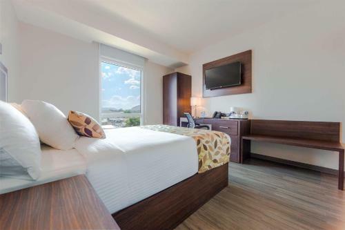 Hotel Sleep Inn Guadalajara Galer�as