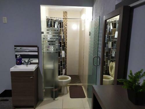 Apartamento Loft Con Amplia Terraza Midtown/providencia