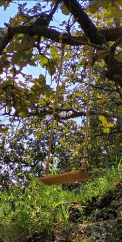 Glamping Y Cenas Romanticas