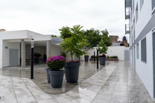 Apartamento Departamento La Choza Central Pool In Gdl Downtown