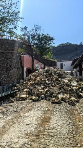 Casa Agavos Disfruta de La Amplitud Y Comodidad