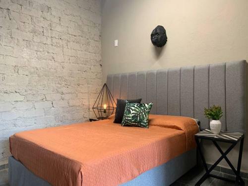 Begonias Loft �a 5 Min Del Auditorio Telmex!