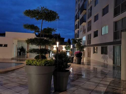 Tu Joya Tapatia - Apartamento Con Alberca